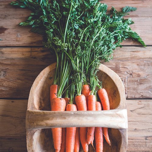 Kalbarri Cookery Sample Menu