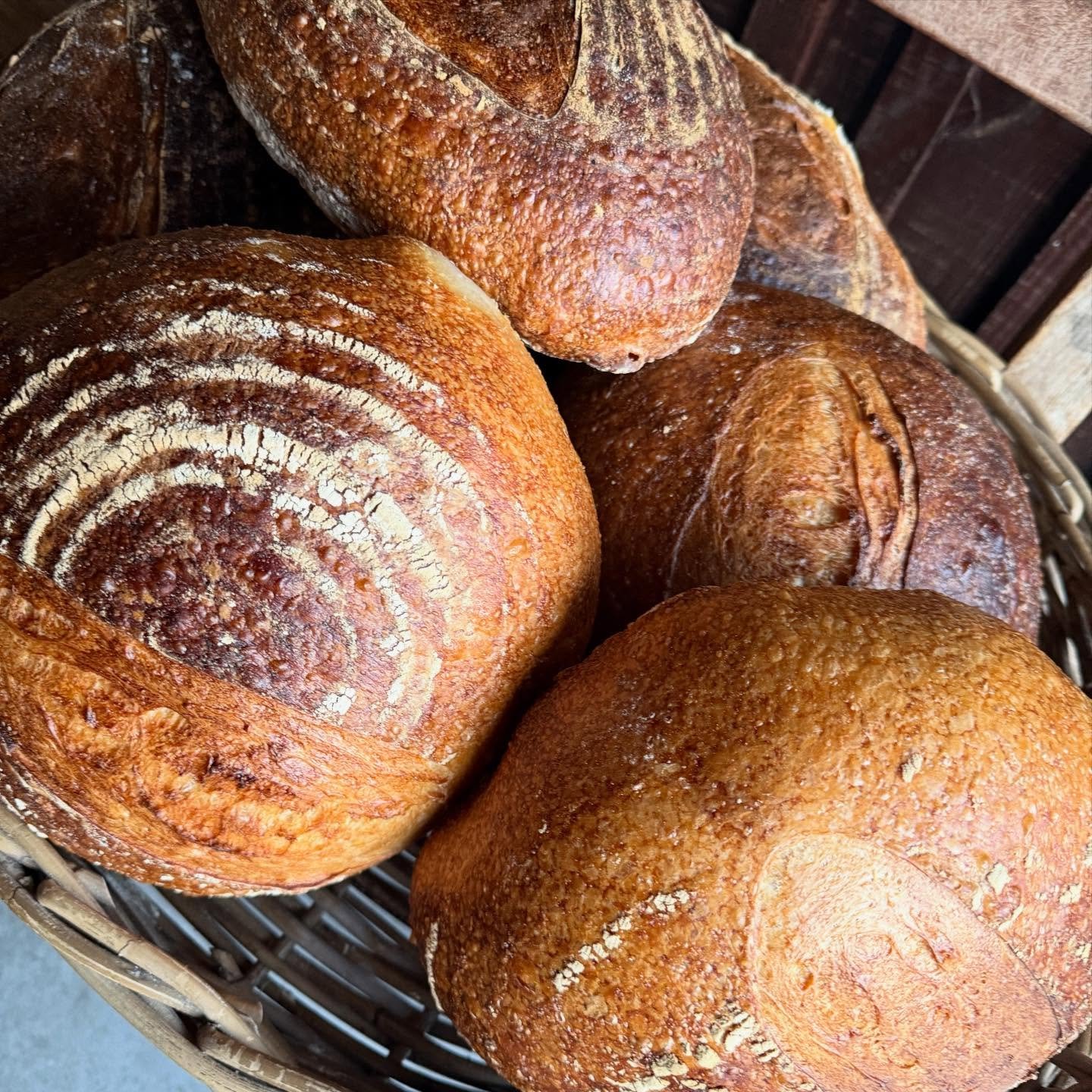 Sourdough Saturday Bread making class 
~ February 21st
~10.30am - 4pm with hot lunch included
~&euro;150 per person

This day course is hands-on. Learn how to make flavoursome and highly nutritious sourdough bread, and how to start and maintain a sou