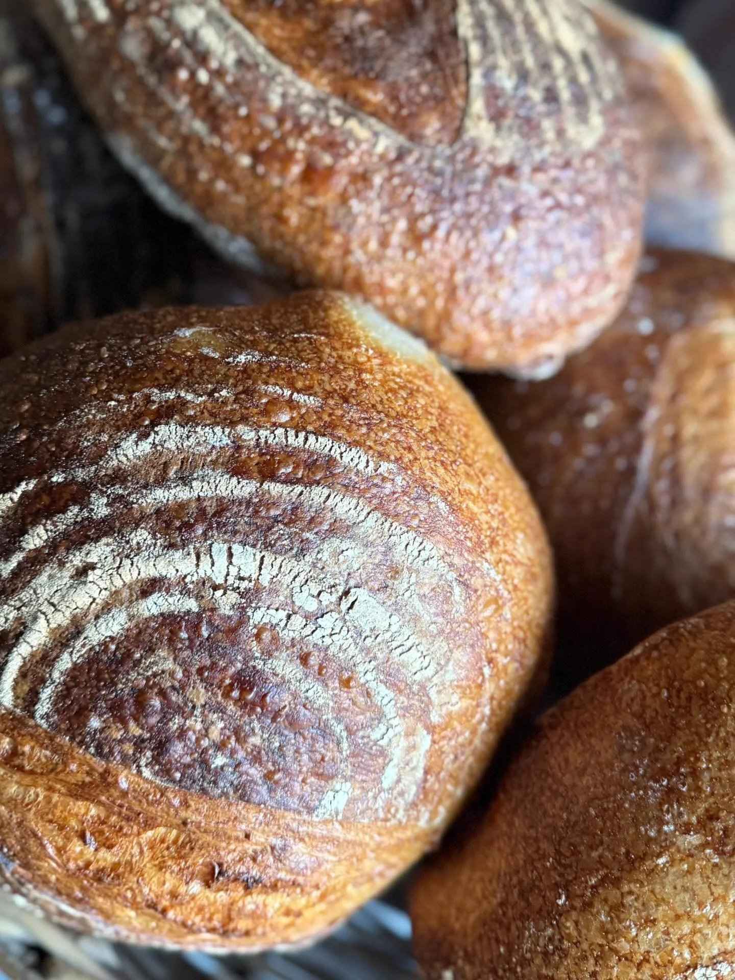 Sourdough Saturday Bread making class 
~ Saturday March 14th 
~10.30am - 4.30pm with hot lunch included
~&euro;150 per person

This day course is hands-on. Learn how to make flavoursome and highly nutritious sourdough bread, and how to start and main
