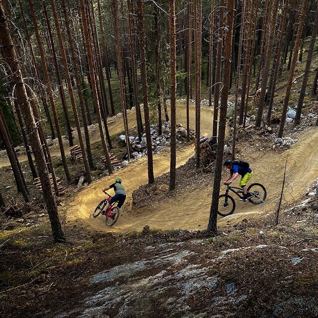 Skogen er ikke s&aring; tjukk i Nesbyen. 
#TrailheadNesbyen #Nesbyen #Hallingdal #TrekBikes #TrekNorge #RideBontrager #TrekBikesNorge #Eventur #GiroNorge #Terrengsykkel @TrekBikes @GiroNorge @CamelBak @Trailguide