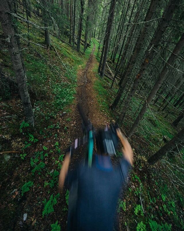 After building trails with gravel at work, its nice to mix it up and ride natural trails 📸: @brynjartvedt -
-
-
-
-
-
-
#TrailheadNesbyen #Nesbyen #Hallingdal #TrekBikes #TrekNorge #RideBontrager #TrekBikesNorge #Eventur #GiroNorge #Terrengsykkel @T