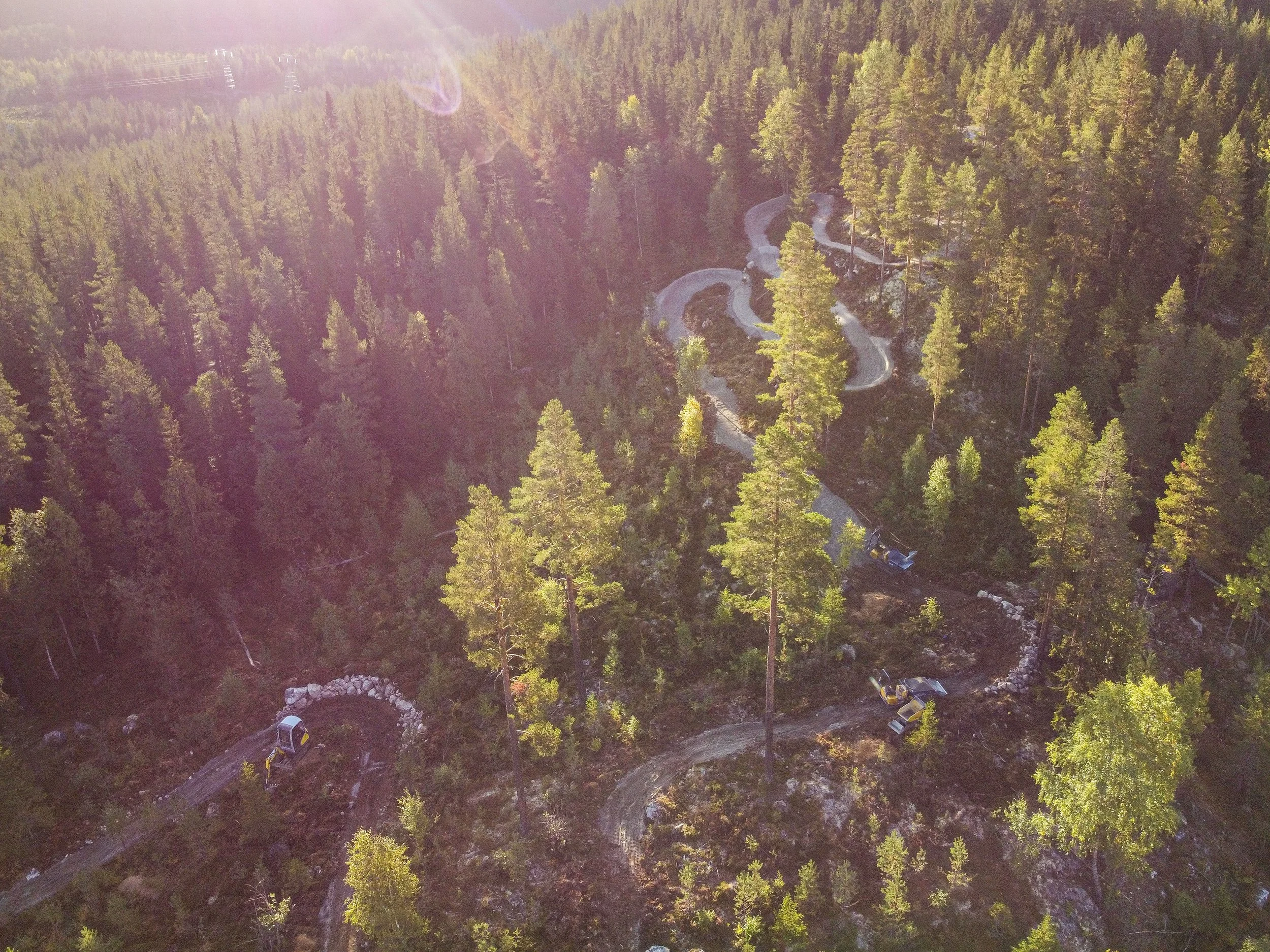 Blåbærtrøkket trail