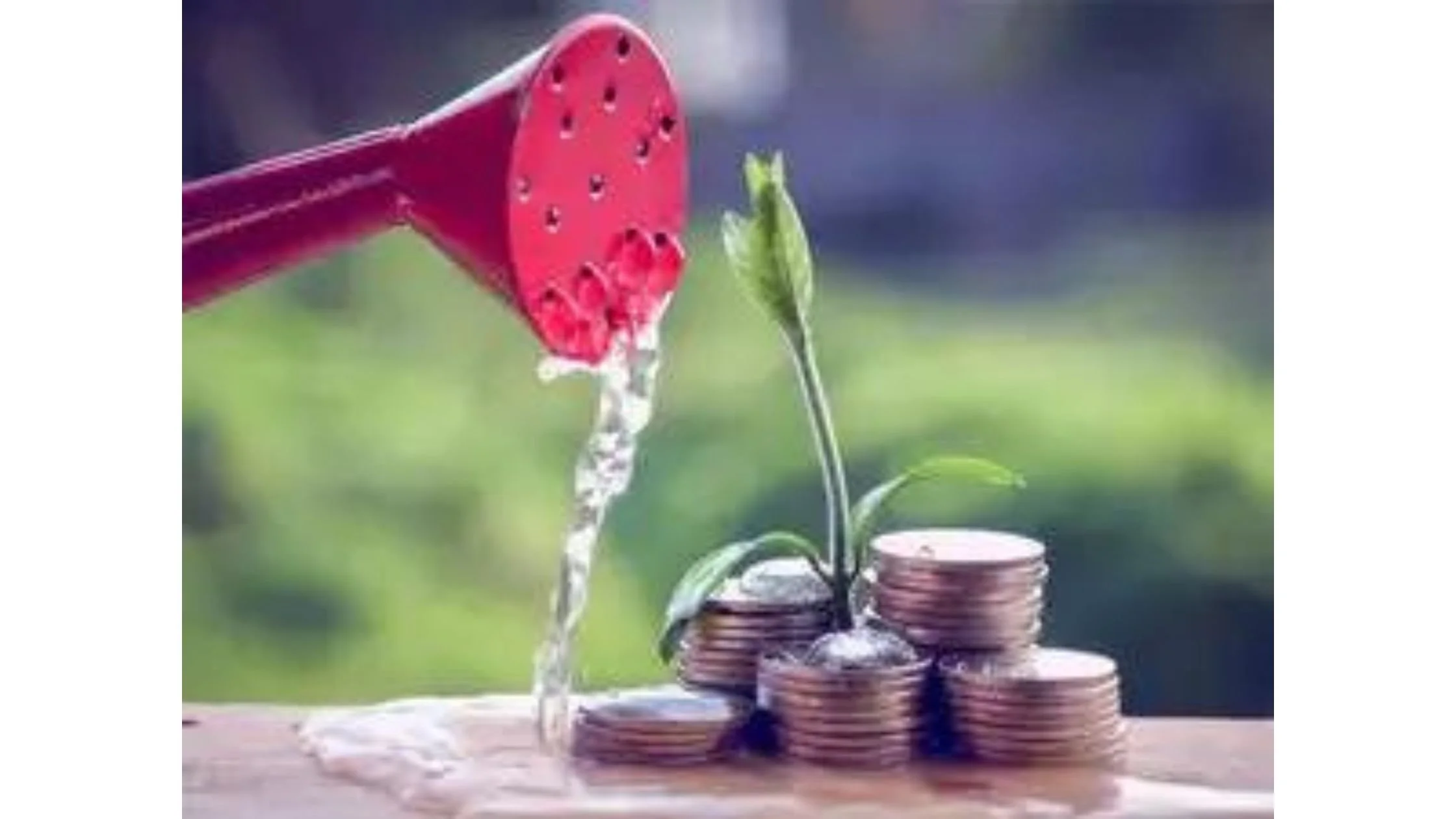 Why retail investors are shifting to liquid mutual fund