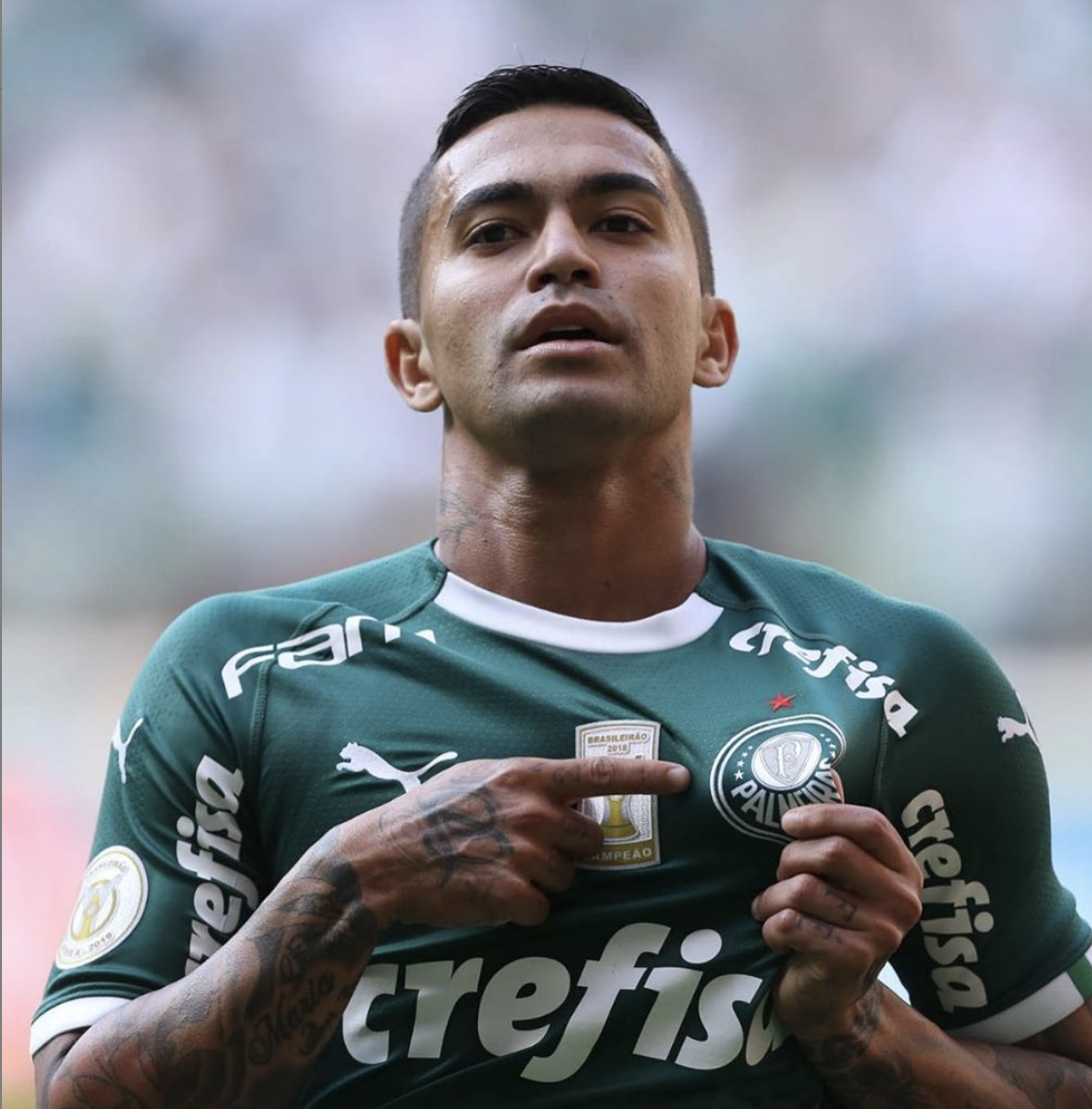 Palmeiras