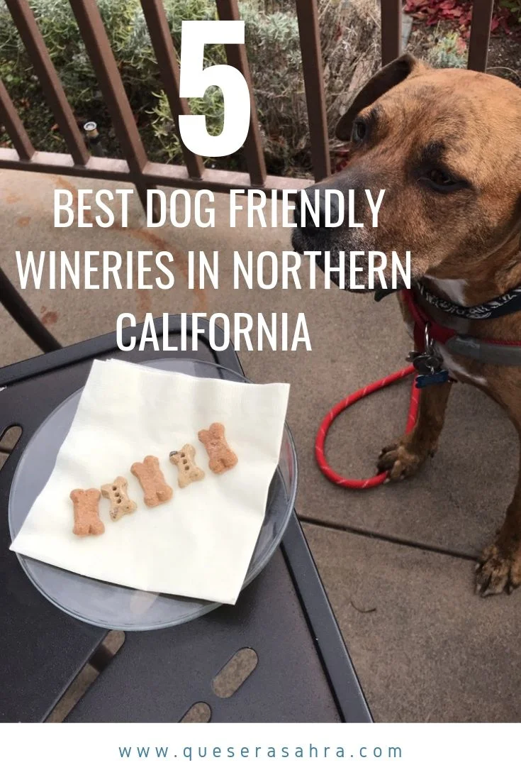The Best Dog Friendly Wineries in Northern California — Que Sera Sahra