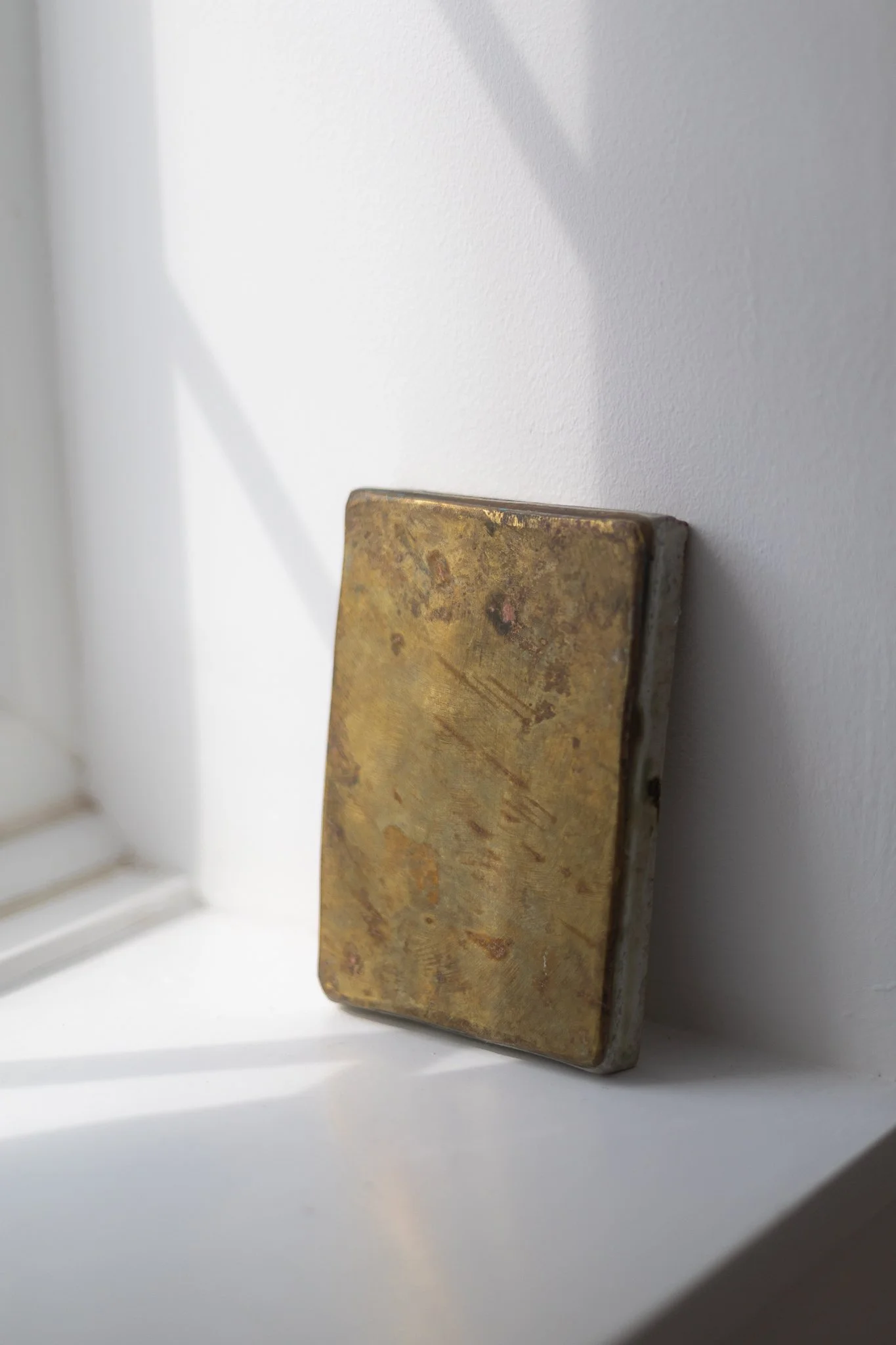 Fossilised Wood + Brass Panel