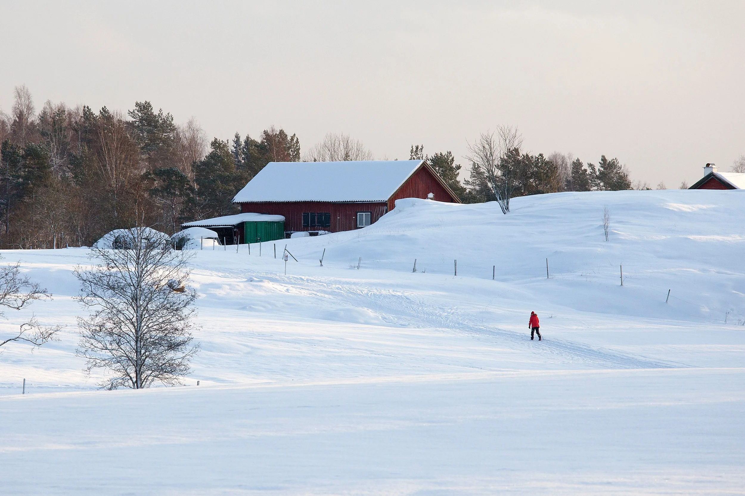 Tyresta By_IMG_4162CLIZAFOTO_Foto Liza Simonsson.JPG
