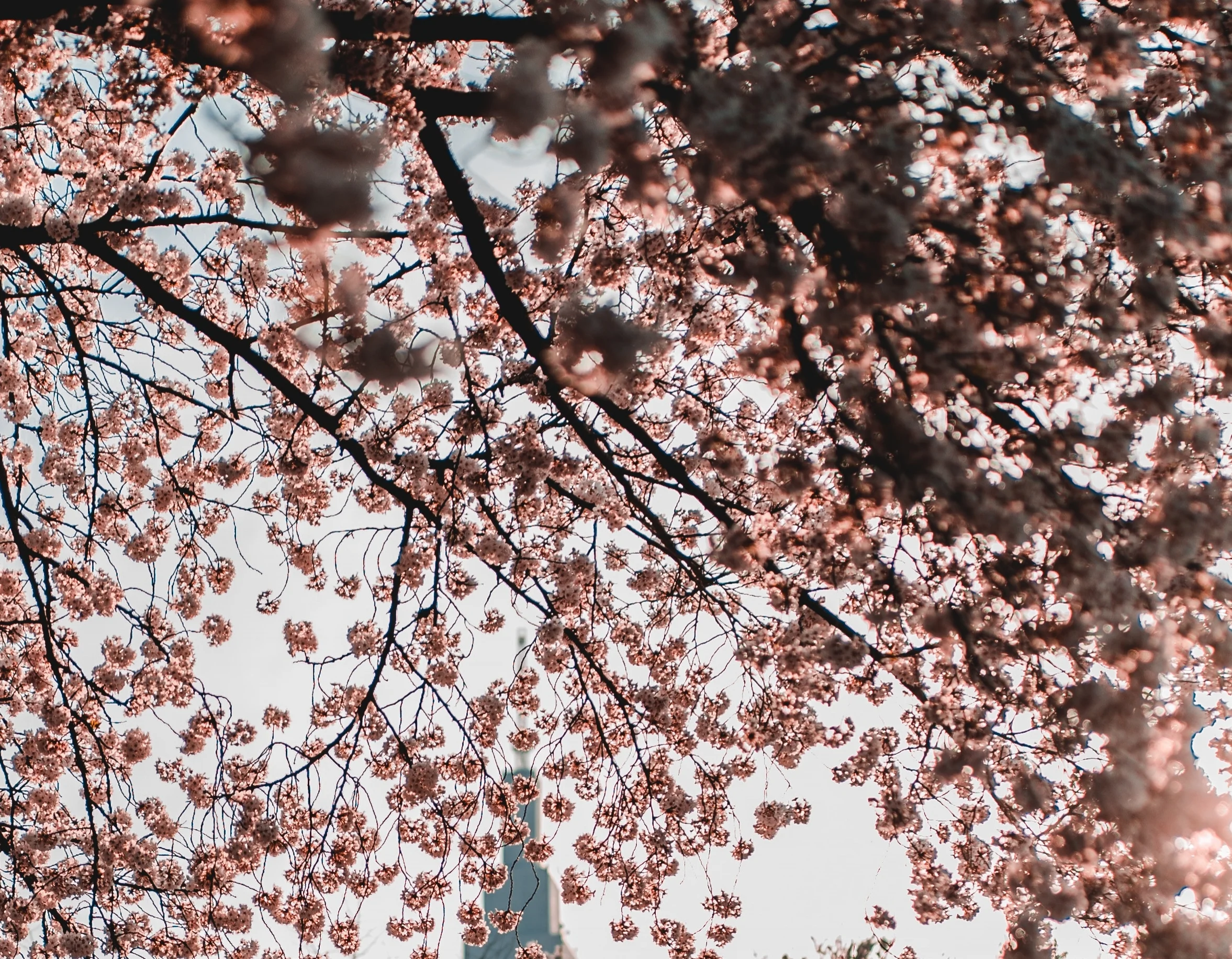 Our Summer at Hideout Hotel