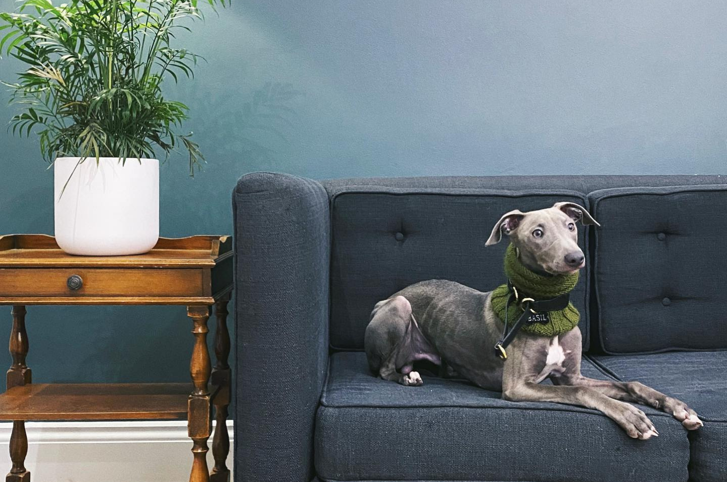 Boutique Hotel Welcomes Long Stay Guests