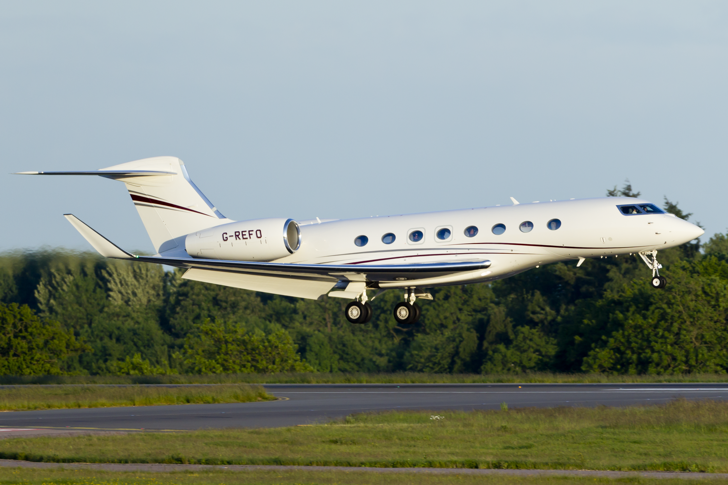 G-REFO_004 31.05.png