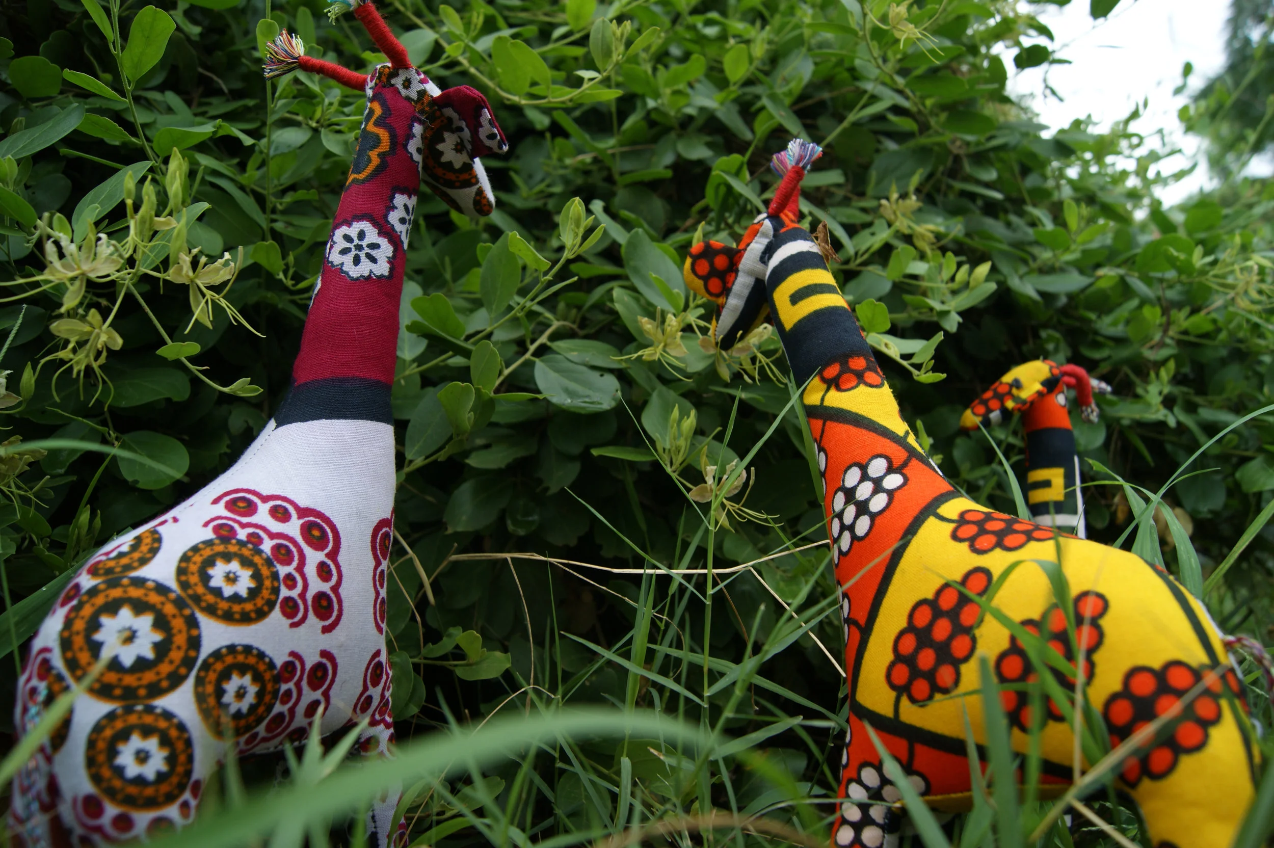 grass-giraffi in bush.jpg