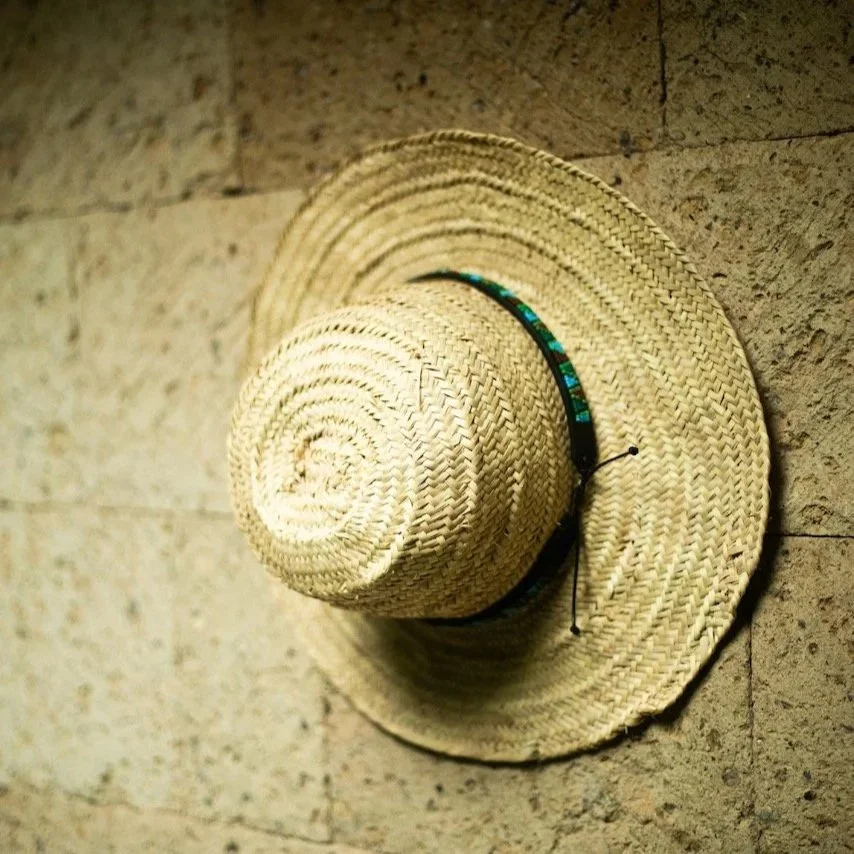 AW2025_palm+hat+M.jpg