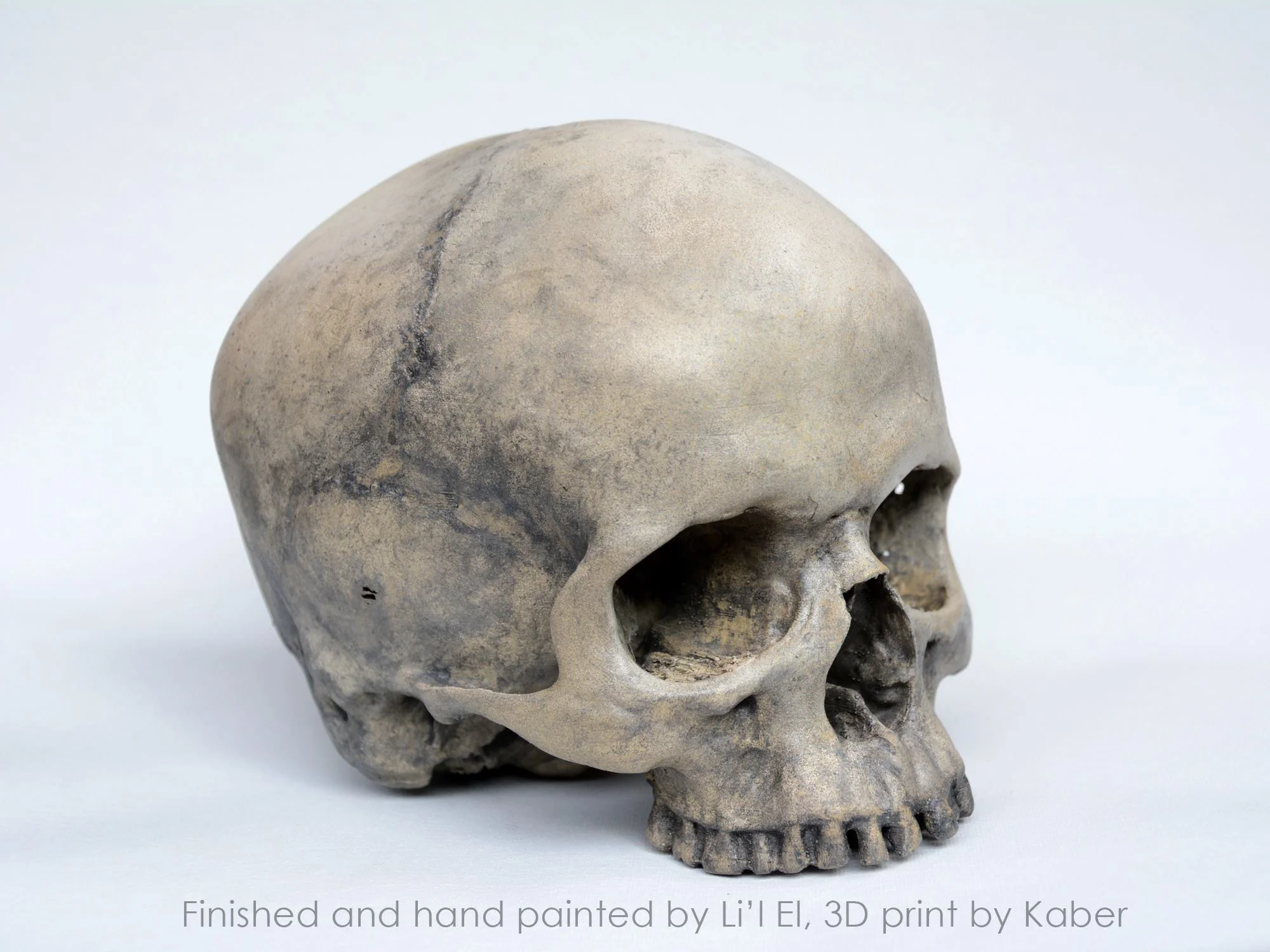 3D Printed Skull