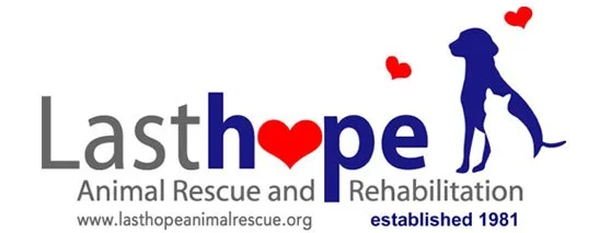 Last-Hope-logo-from-site_red_blue.jpg