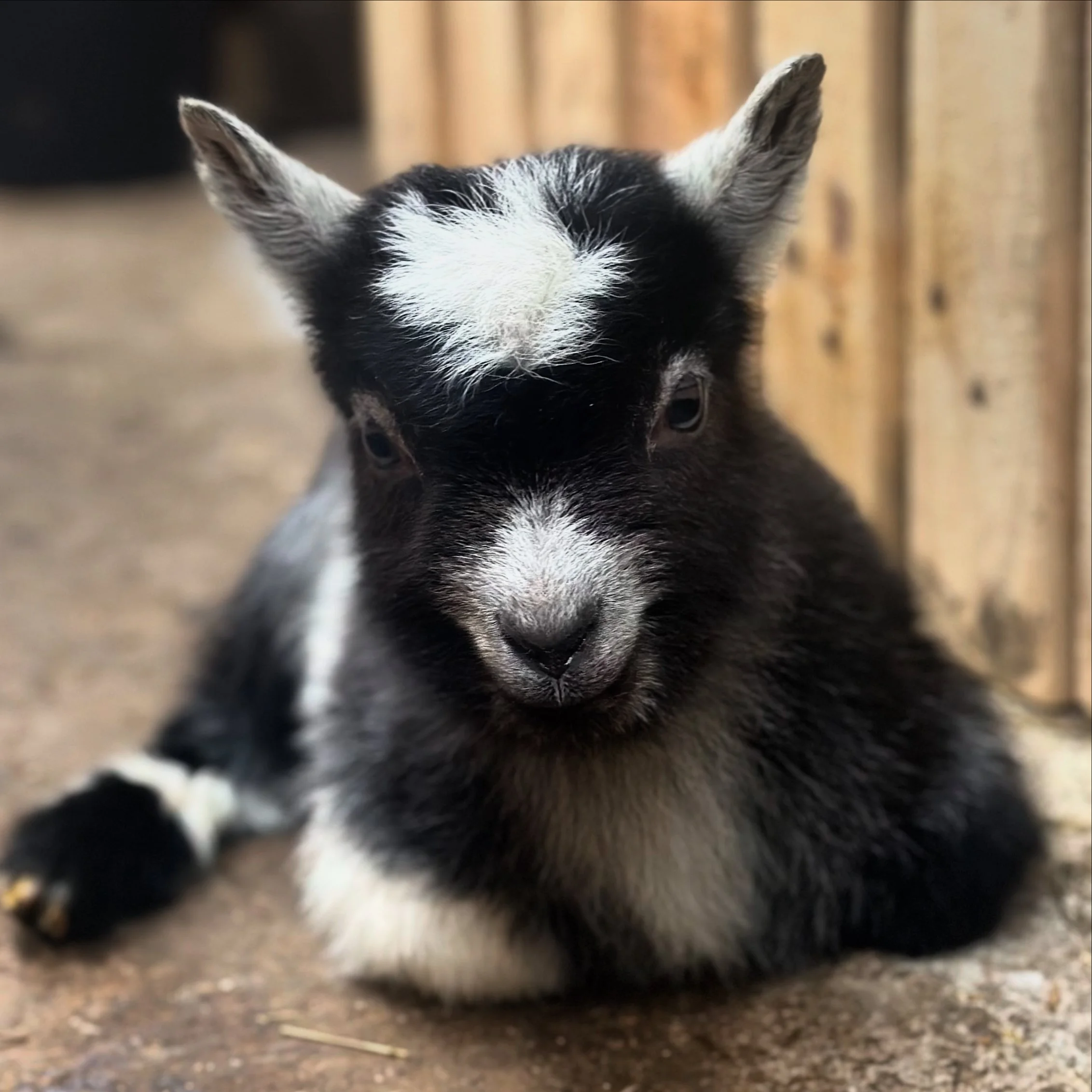 Foto: Elisbeth Tofte