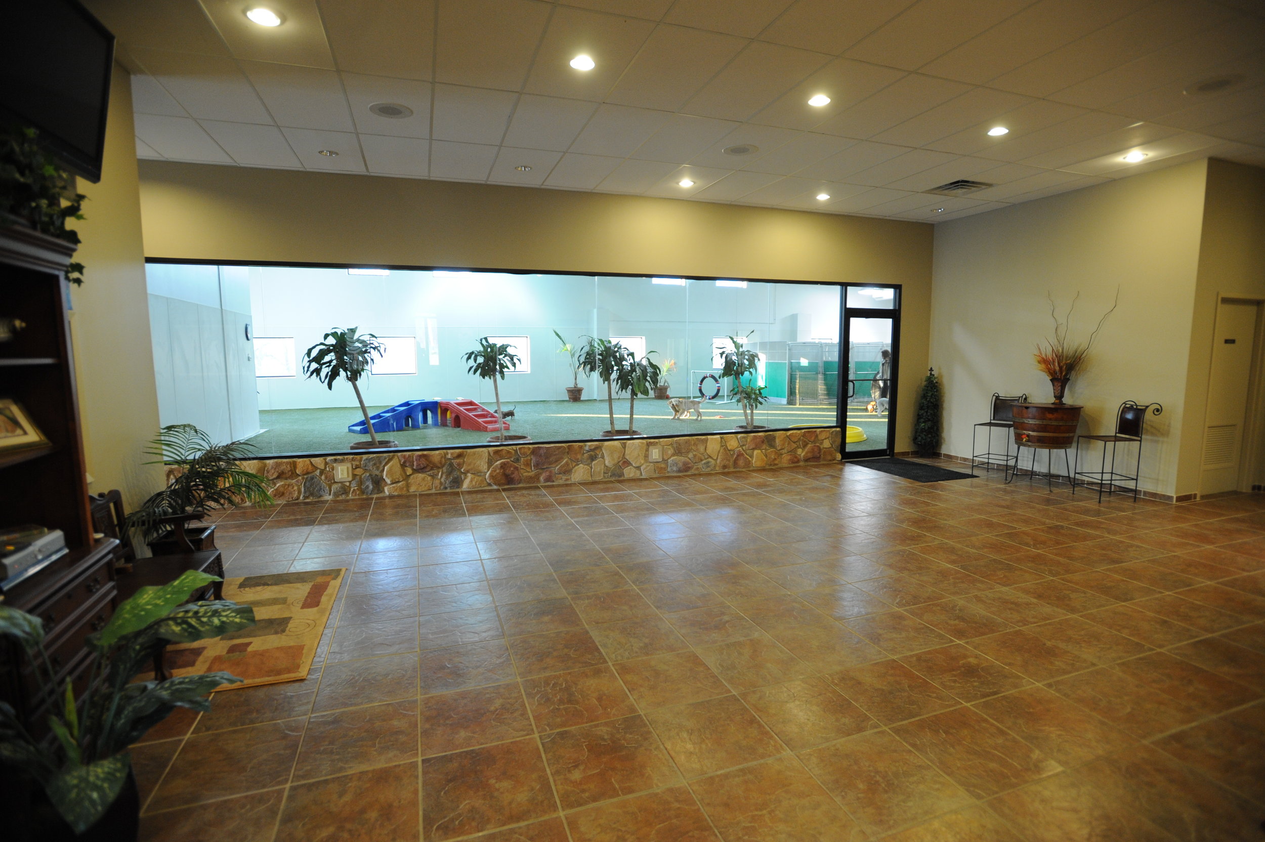 Pet Nation Lodge Dog Boarding, Dog Daycare, Pet Grooming, Best