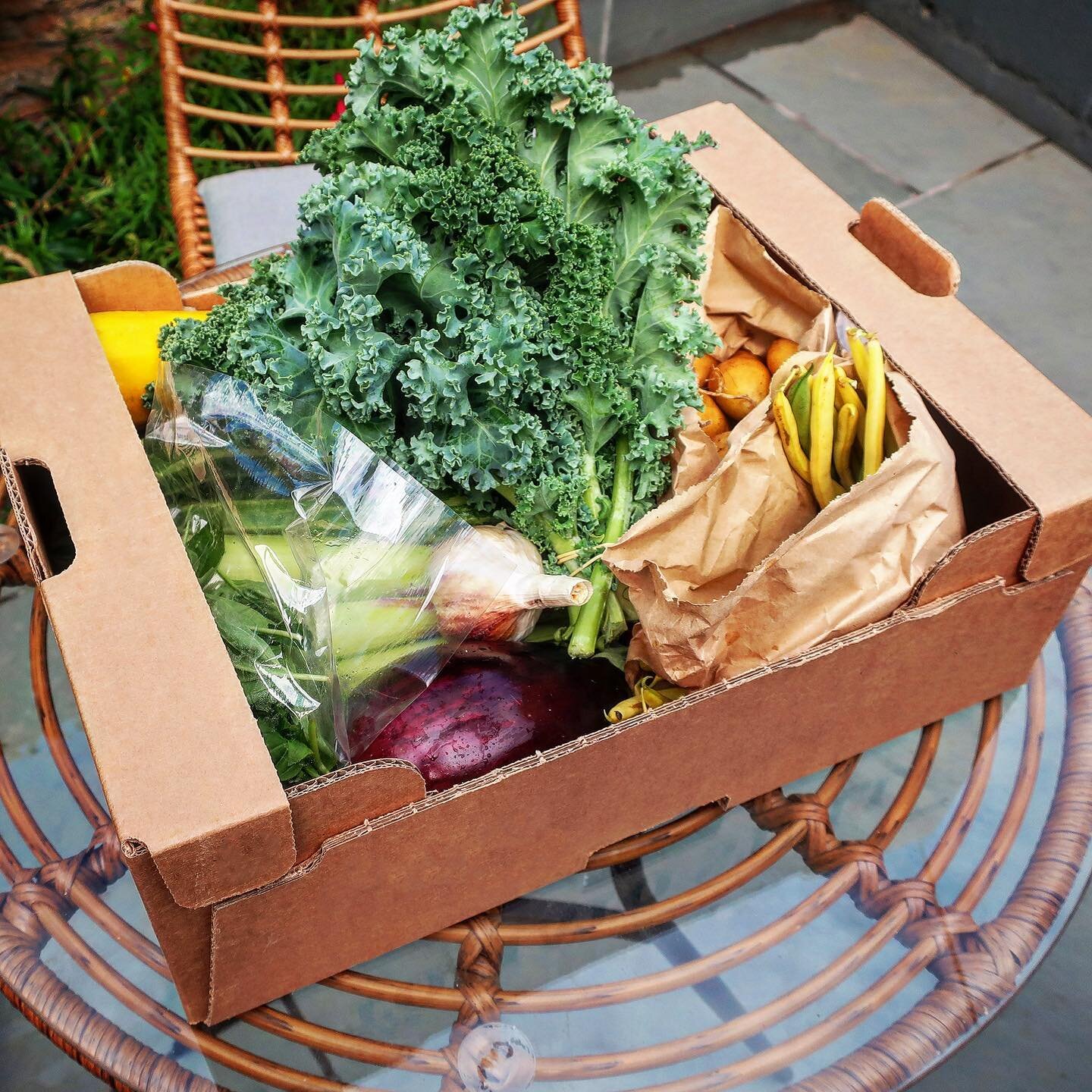 What if we told you this box of local veg could help end rural homelessness?

Well, there&rsquo;s a good chance it can. In 2018, @wearerootconnections (under 10 miles from #Frome) set up to help rough sleepers access social and therapeutic horticultu