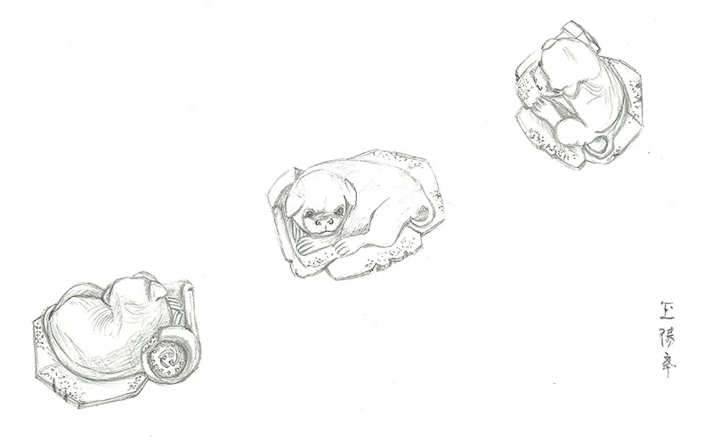 DogPugWeb.jpg