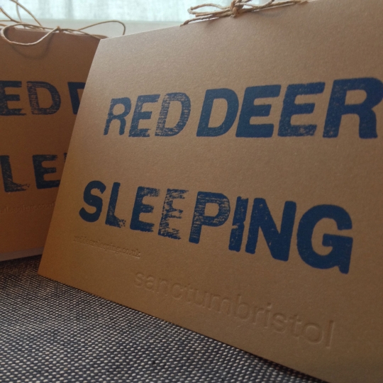 RedDeerSleepingSanctumProgrammeCloseUp.jpg