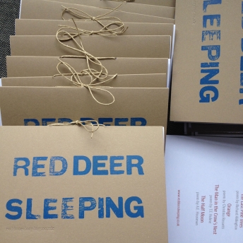 RedDeerSleepingSanctumProgrammes.jpg