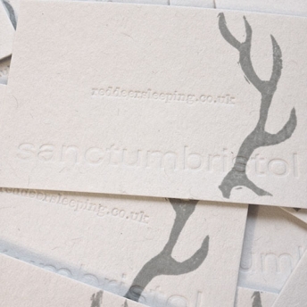 RedDeerSleepigSanctumCards.jpg