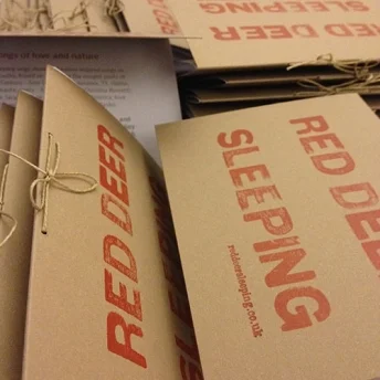 RedDeerSleepingBooklets.jpg