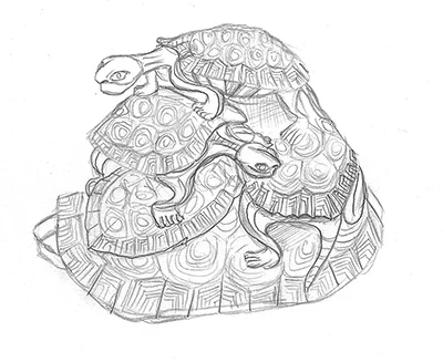 OkimonoOfTurtles.jpg