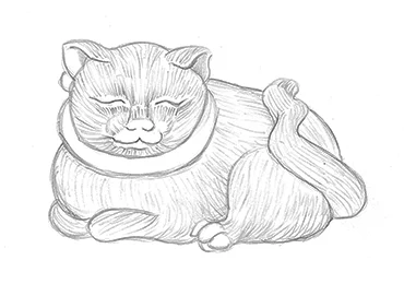 SleepingCat.jpg