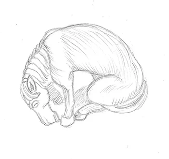 SeatedHorseSketch.jpg