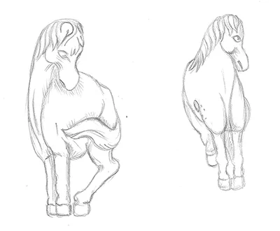 HorseTail.jpg