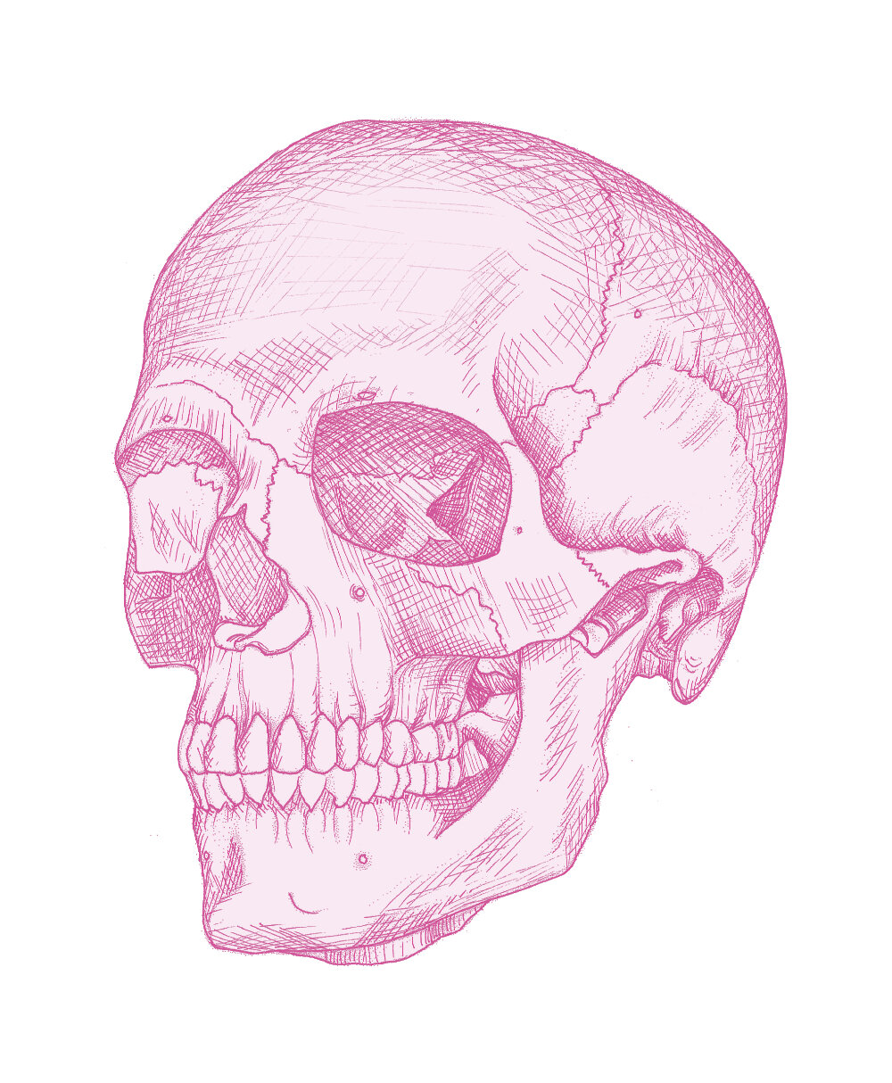 SkullWEB.jpg