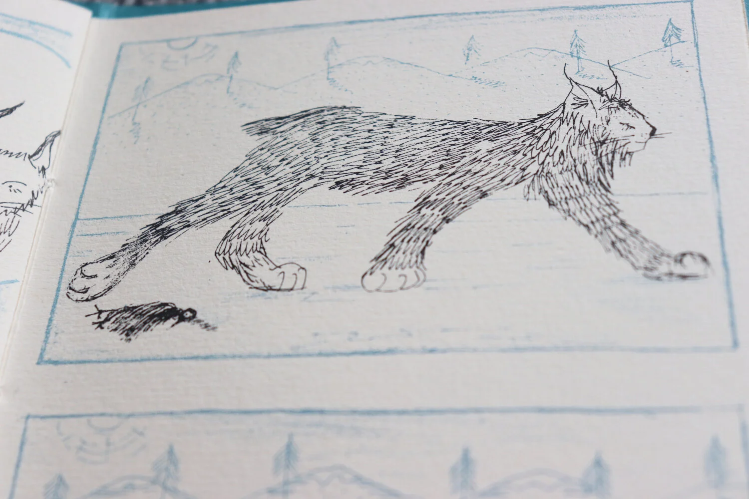 LittleLynx8WEB.jpg