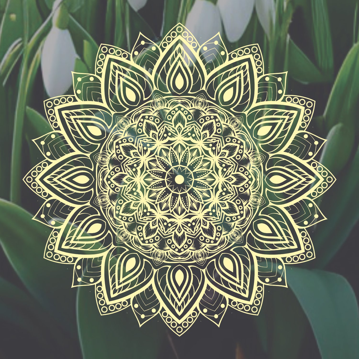 Melodic Meditation - A Spring Blessing - Sunday 16th March  2025
