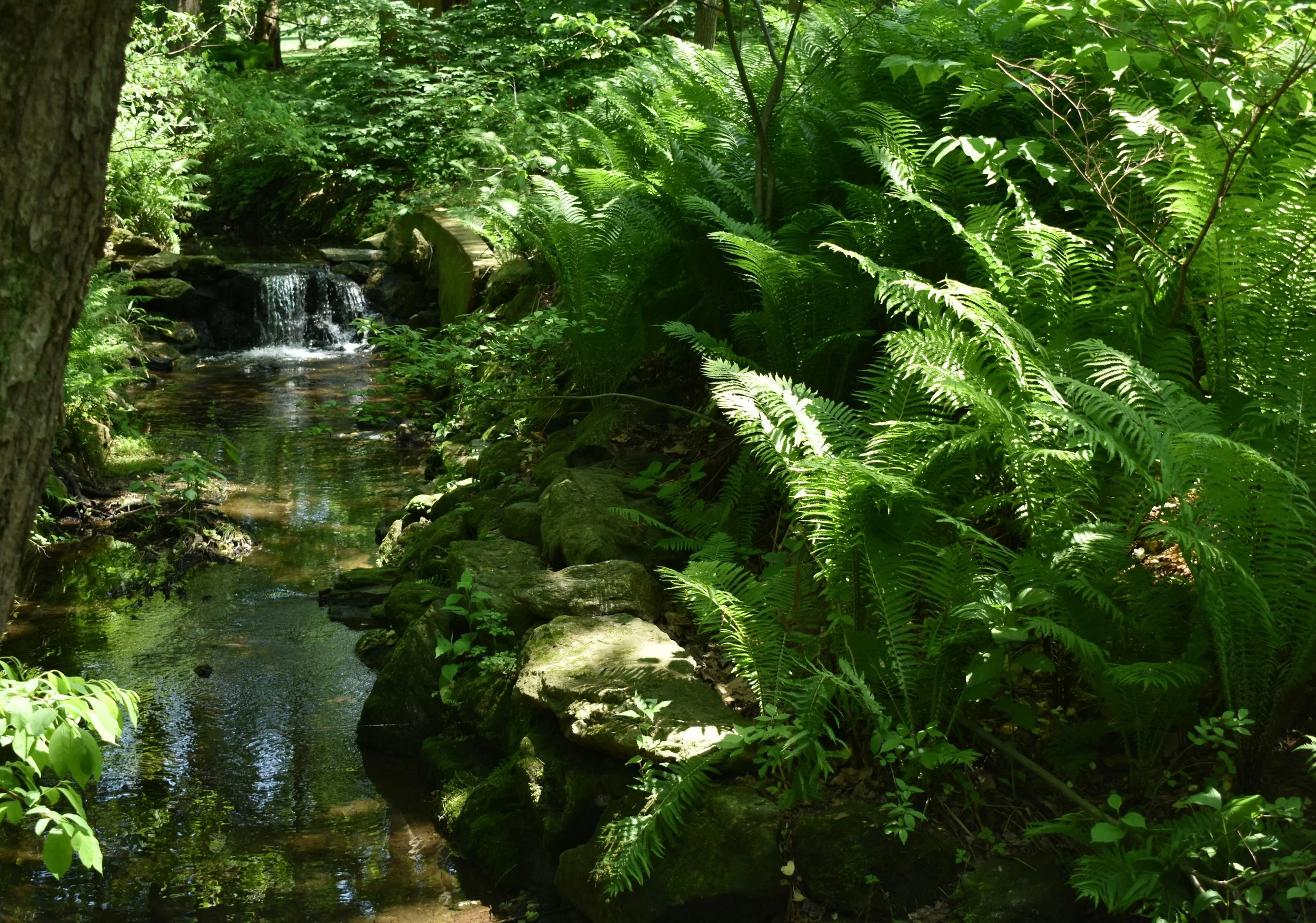 A Prayer for Peace &amp; In The River on Insight Timer