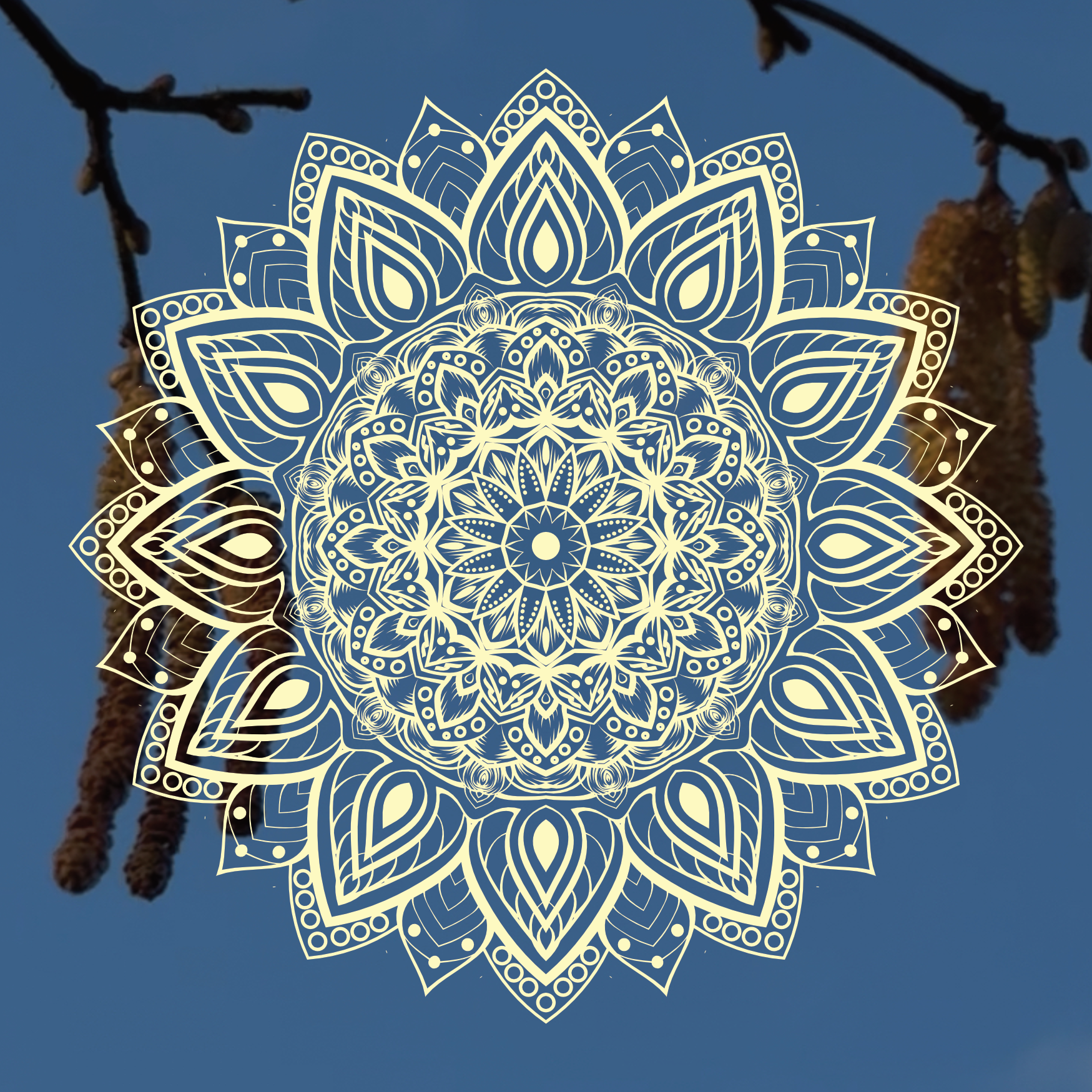 Spring Equinox Blessing - Melodic Meditation with Mog