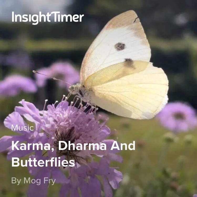 Karma, Dharma and Butterflies on Insight Timer