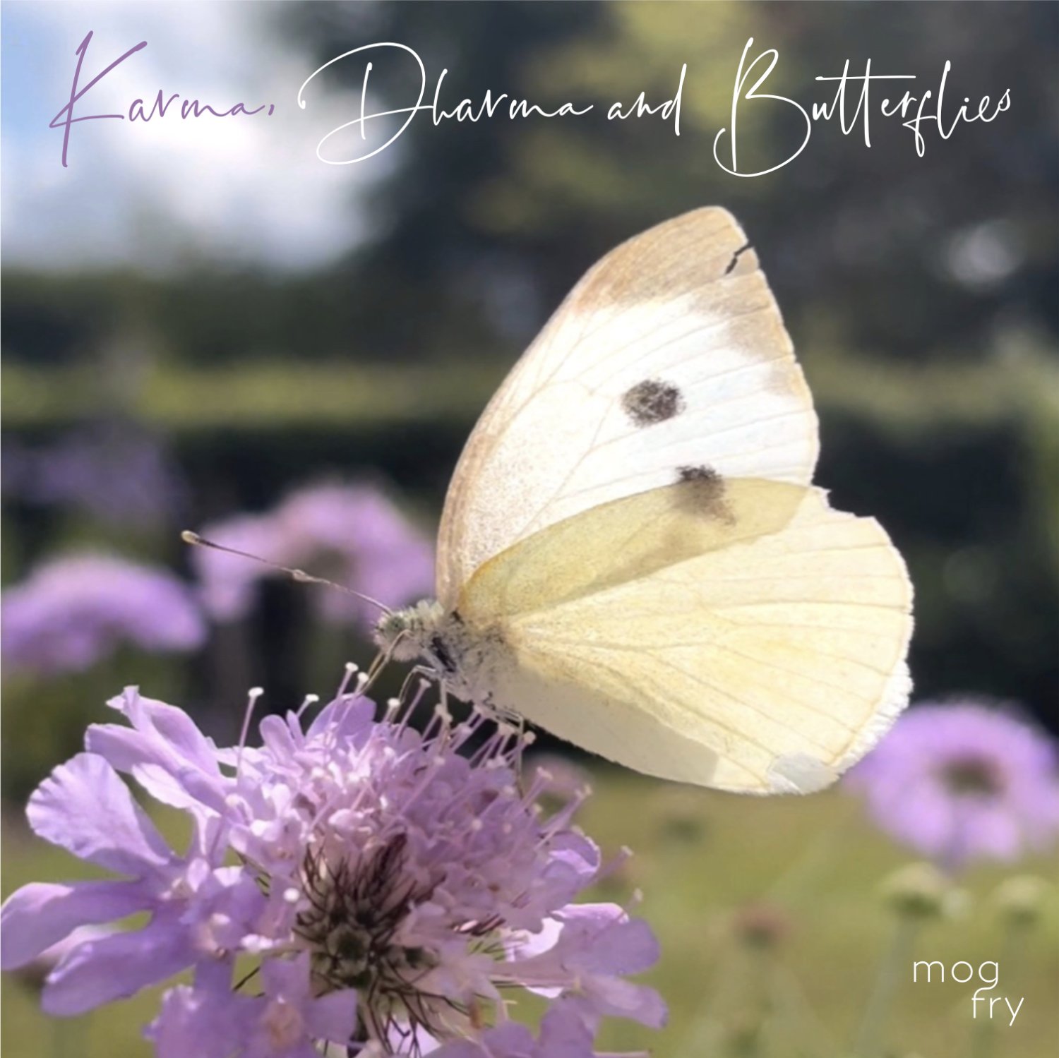 Karma, Dharma and Butterflies - Mog Fry - RDS.jpg