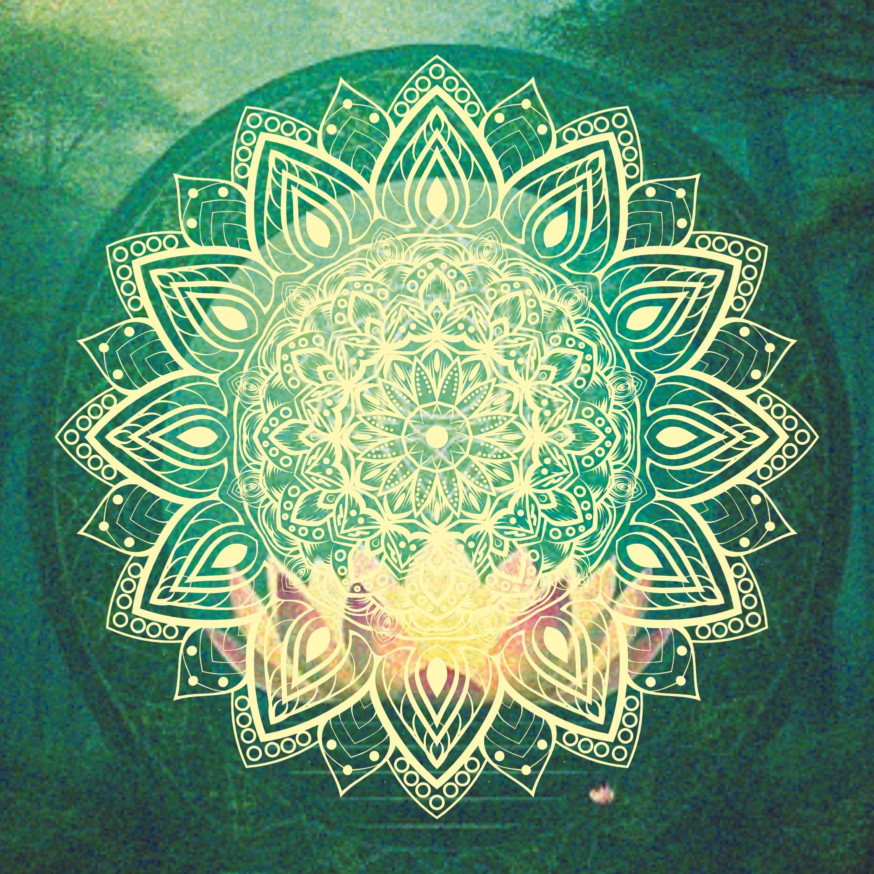Melodic Meditation - Lotus Heart - April 2025