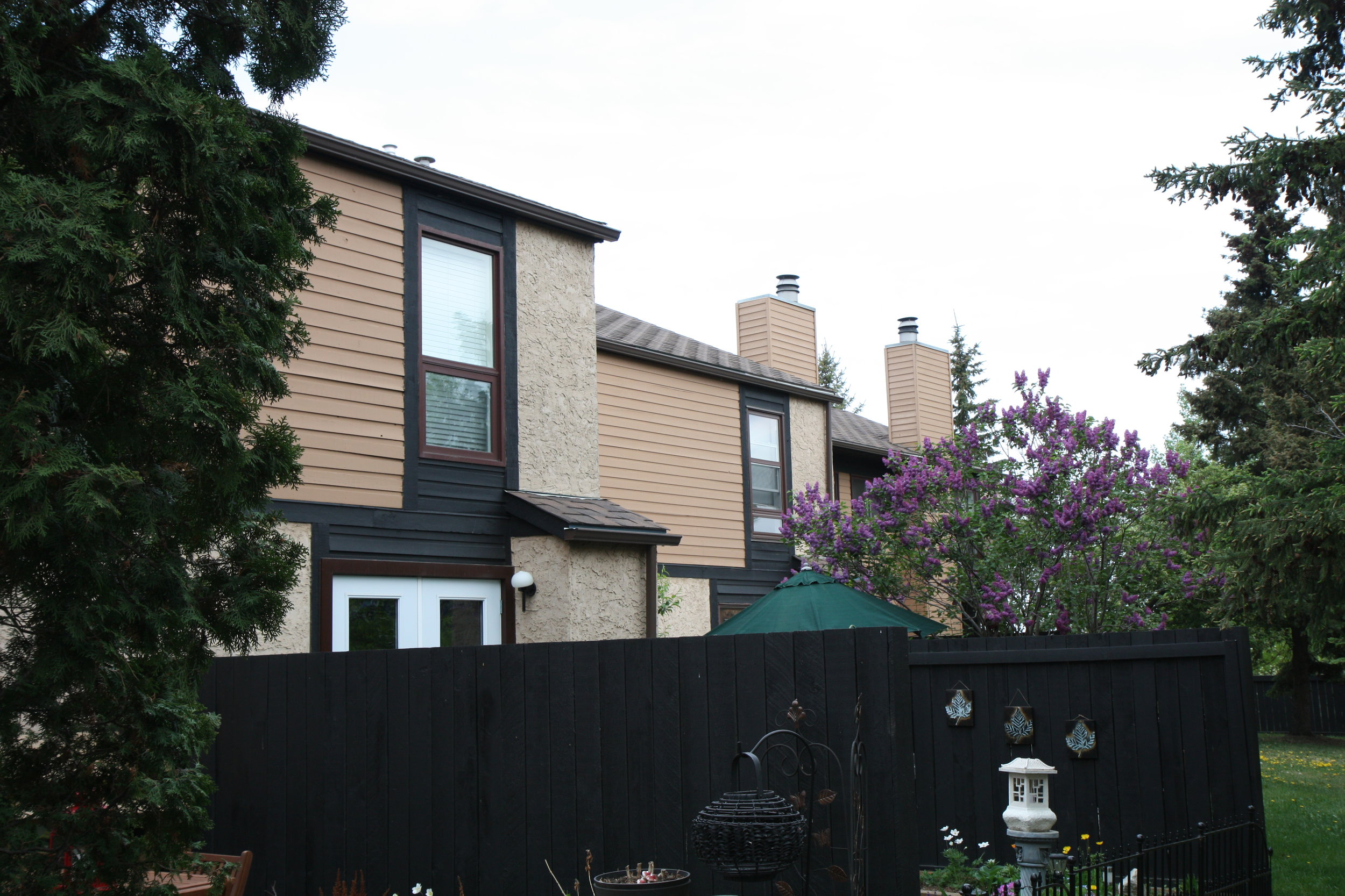 complete painting of cedar siding