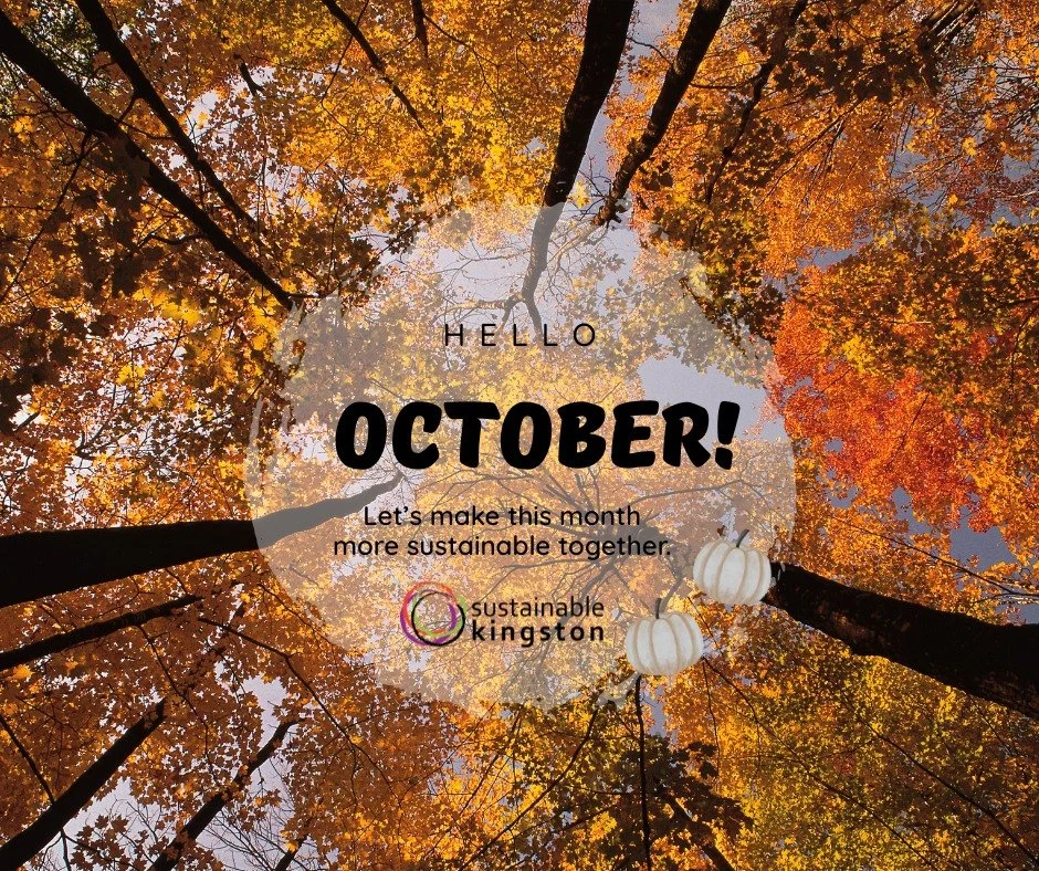 🍂Hello October! 🍂

Small changes can make a big impact! Here are a few ways to live more sustainably this fall:

 🎃Decorate mindfully &ndash; Use natural items like pumpkins, leaves, and reusable decor.
🚶&zwj;♀️ Choose active or public transporta