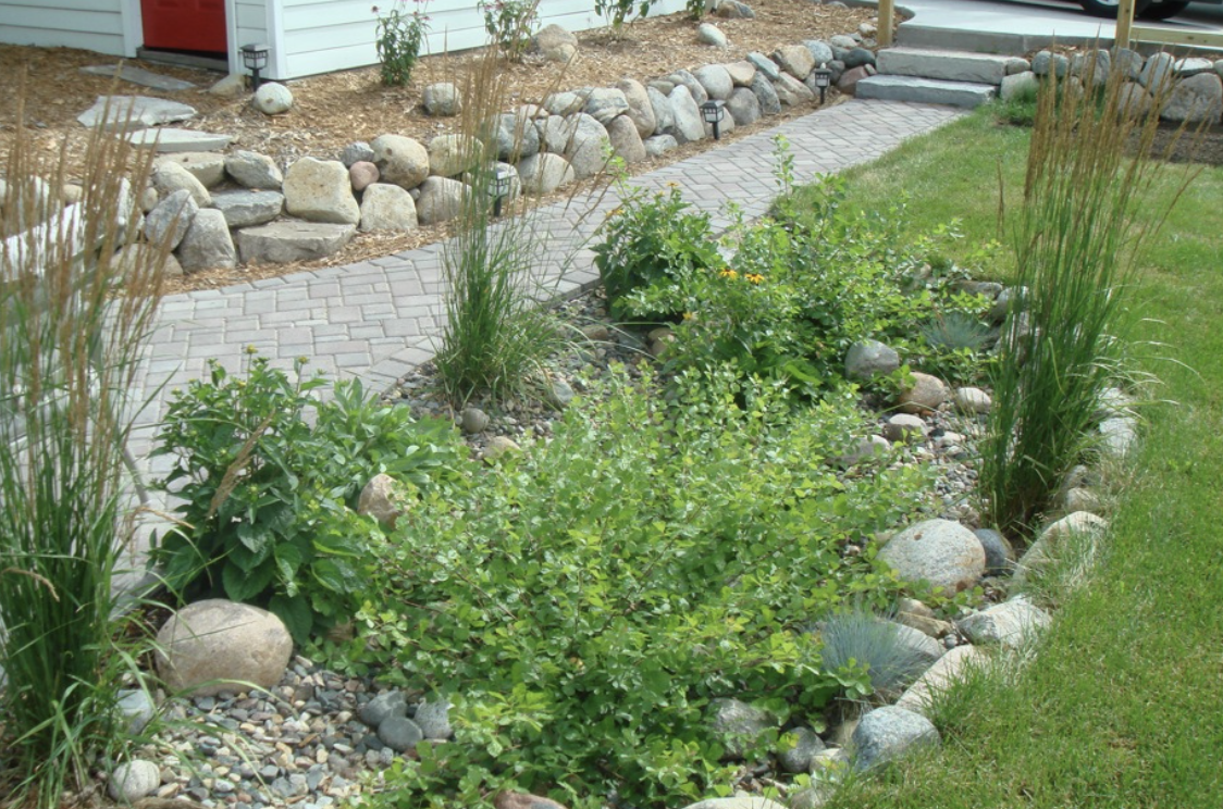 BUILDING RAIN GARDENS IN THE CLIMATE EMERGENCY ERA: “We hope that as the  broader community learns about the North Shore Rain Garden Project, this  awareness will encourage homeowners to take an active