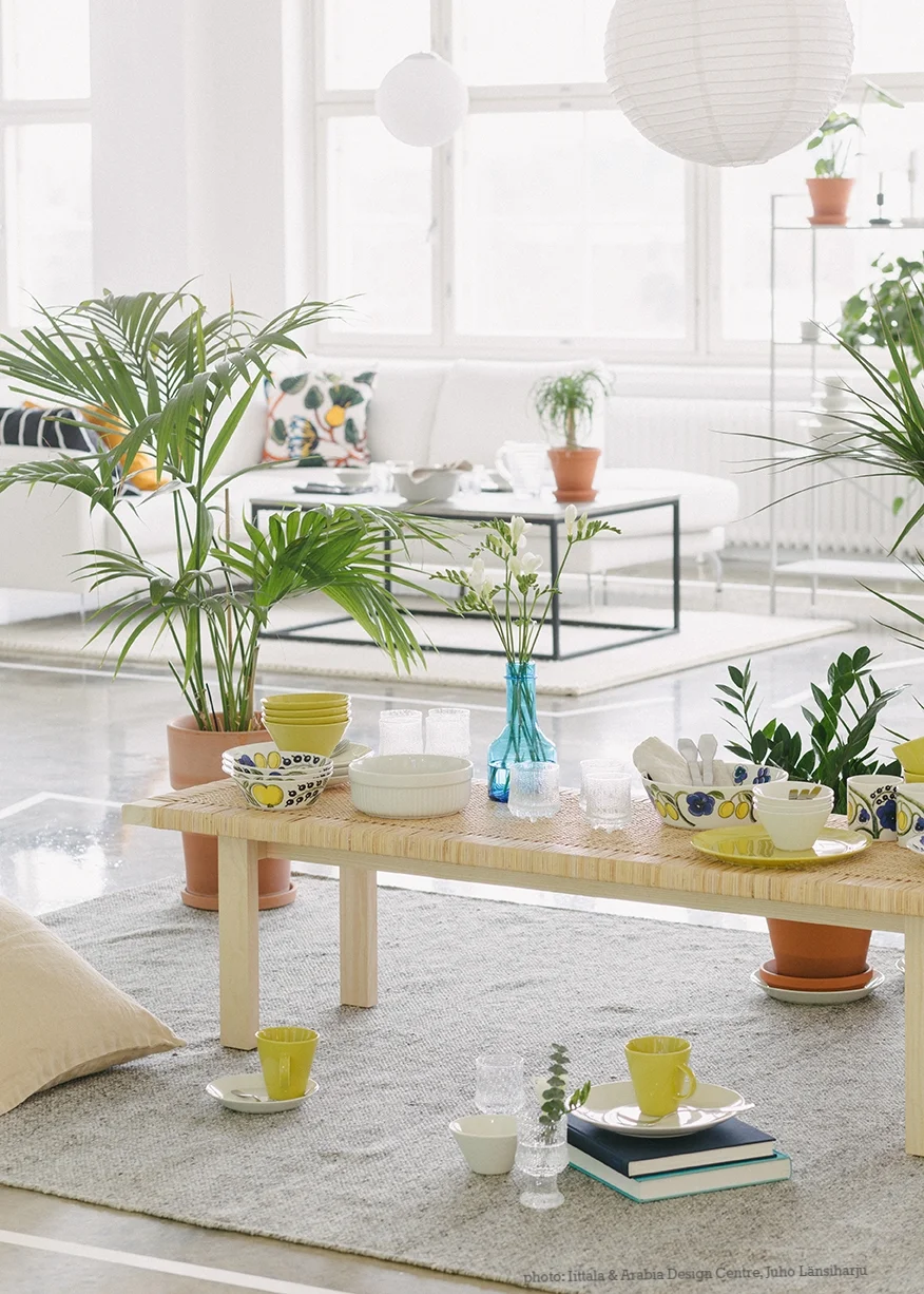 Hanna Anonen iittala & arabia centre off the table.jpg