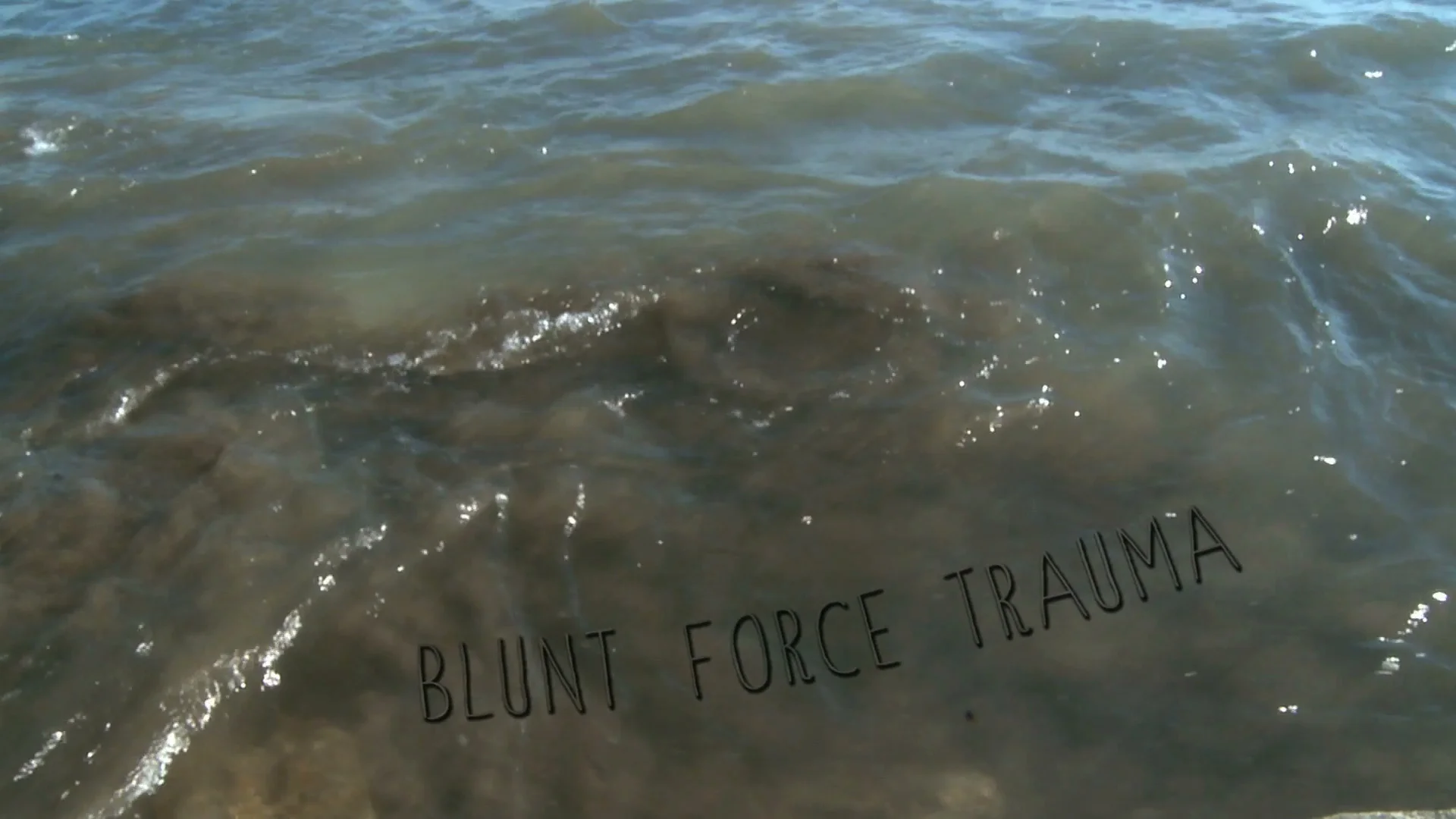 sconnelly_blunt_force_trauma-2.jpeg