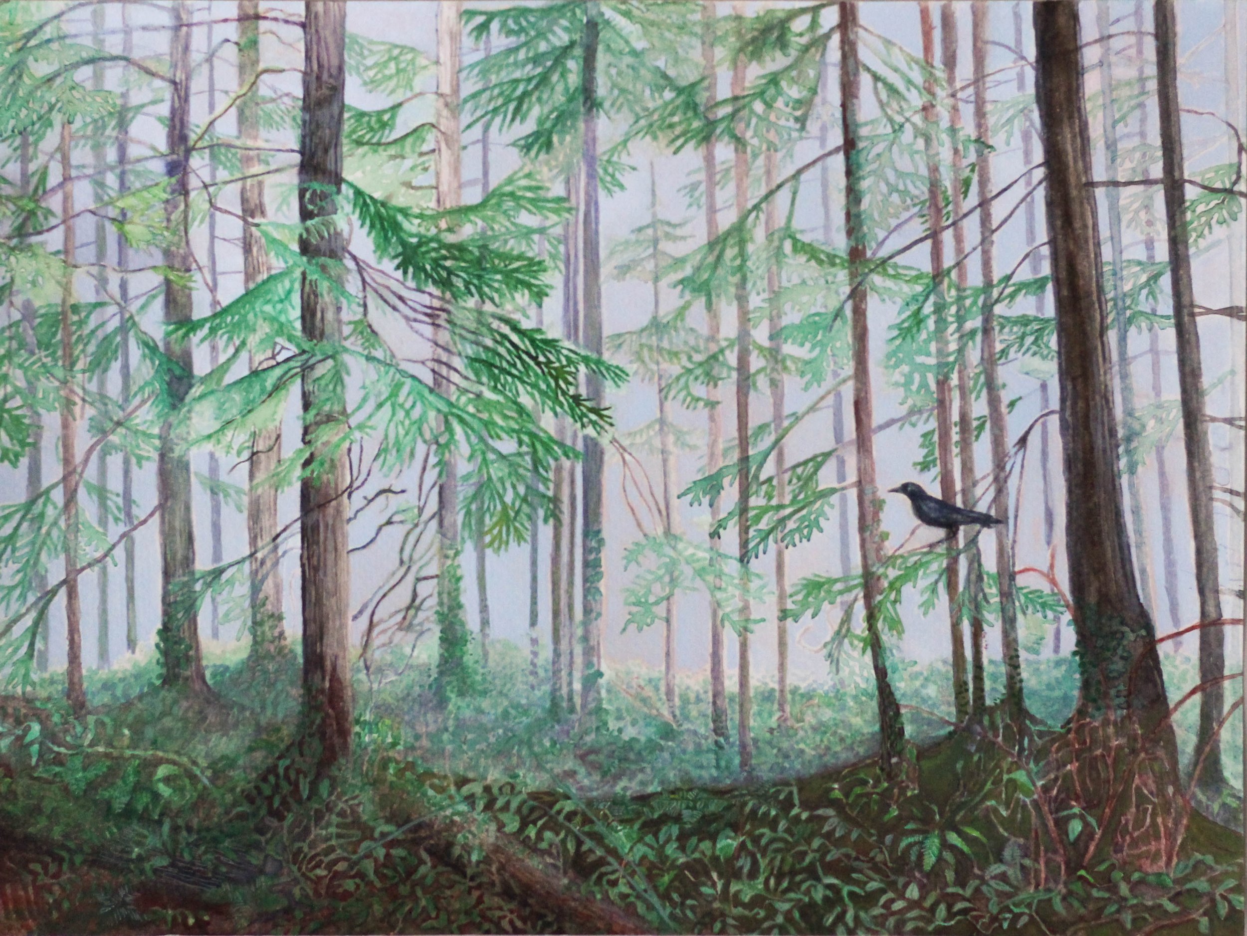 Forest Scene in Watercolours (1).jpg