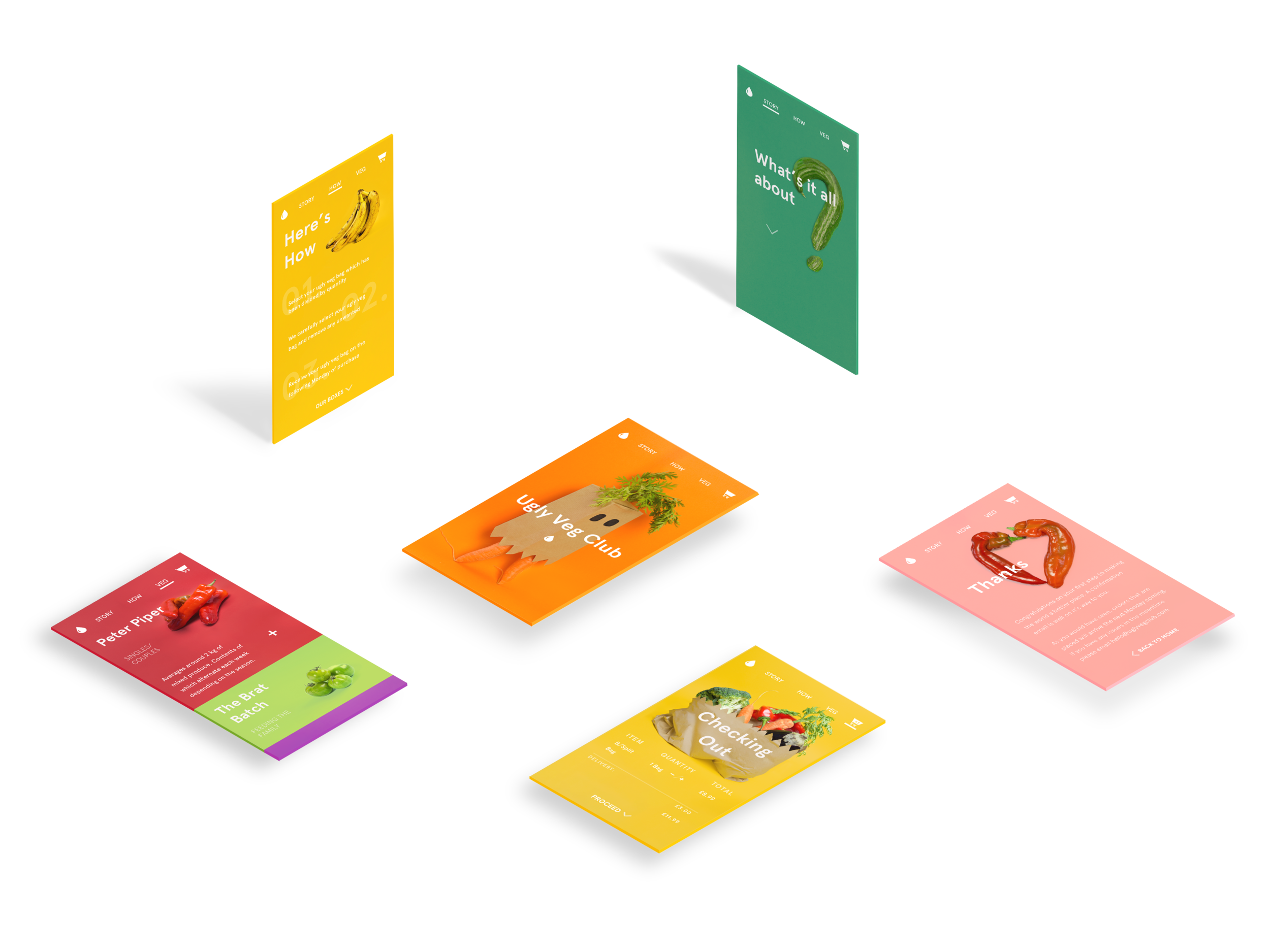 Lilly-jo Cullen design.png