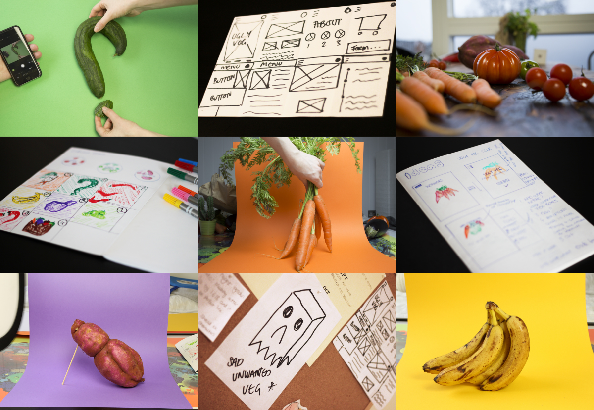 collage1.jpg