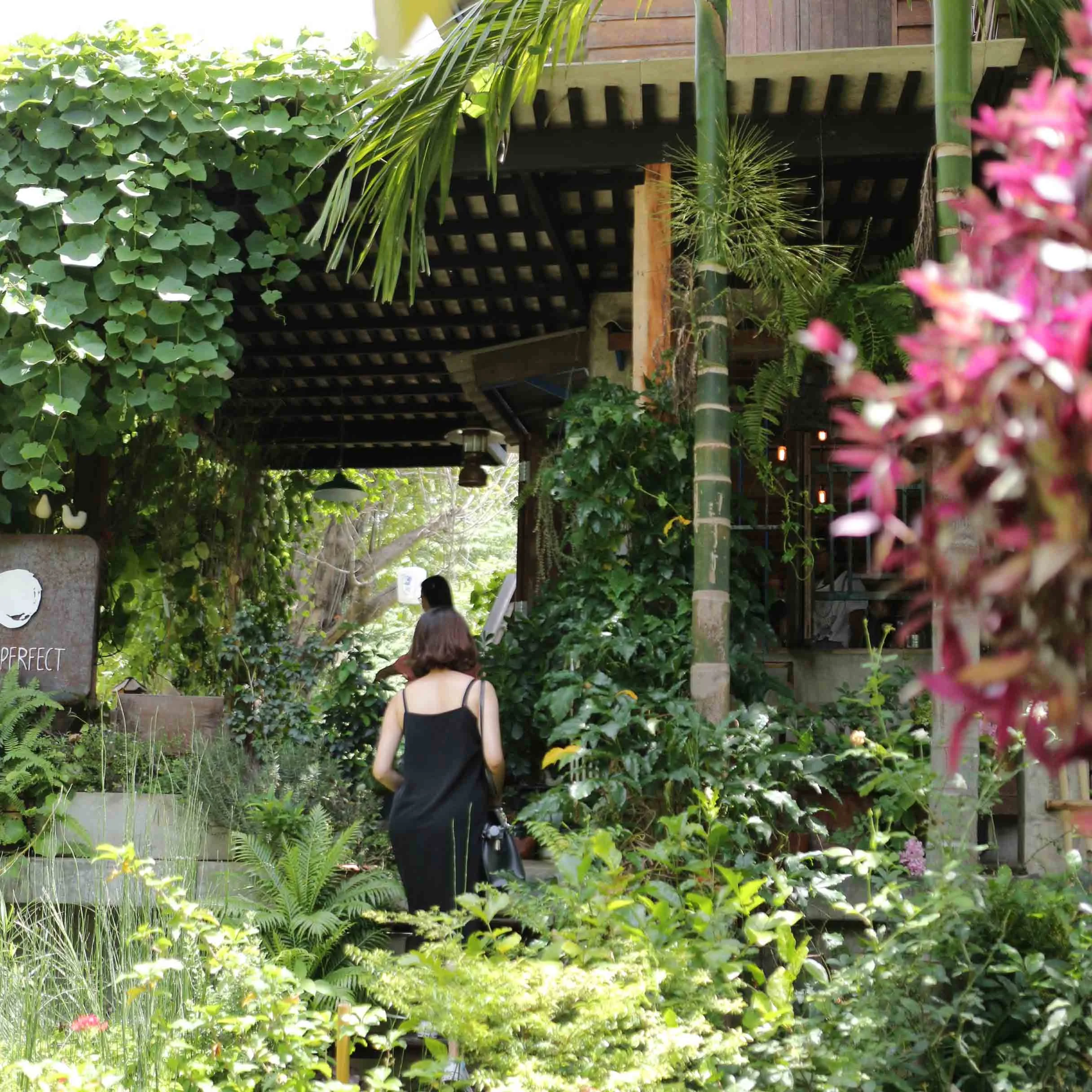 chiangmai-37.jpg