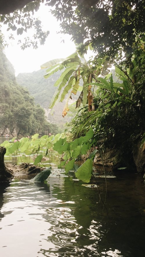Cửa ra của hang động