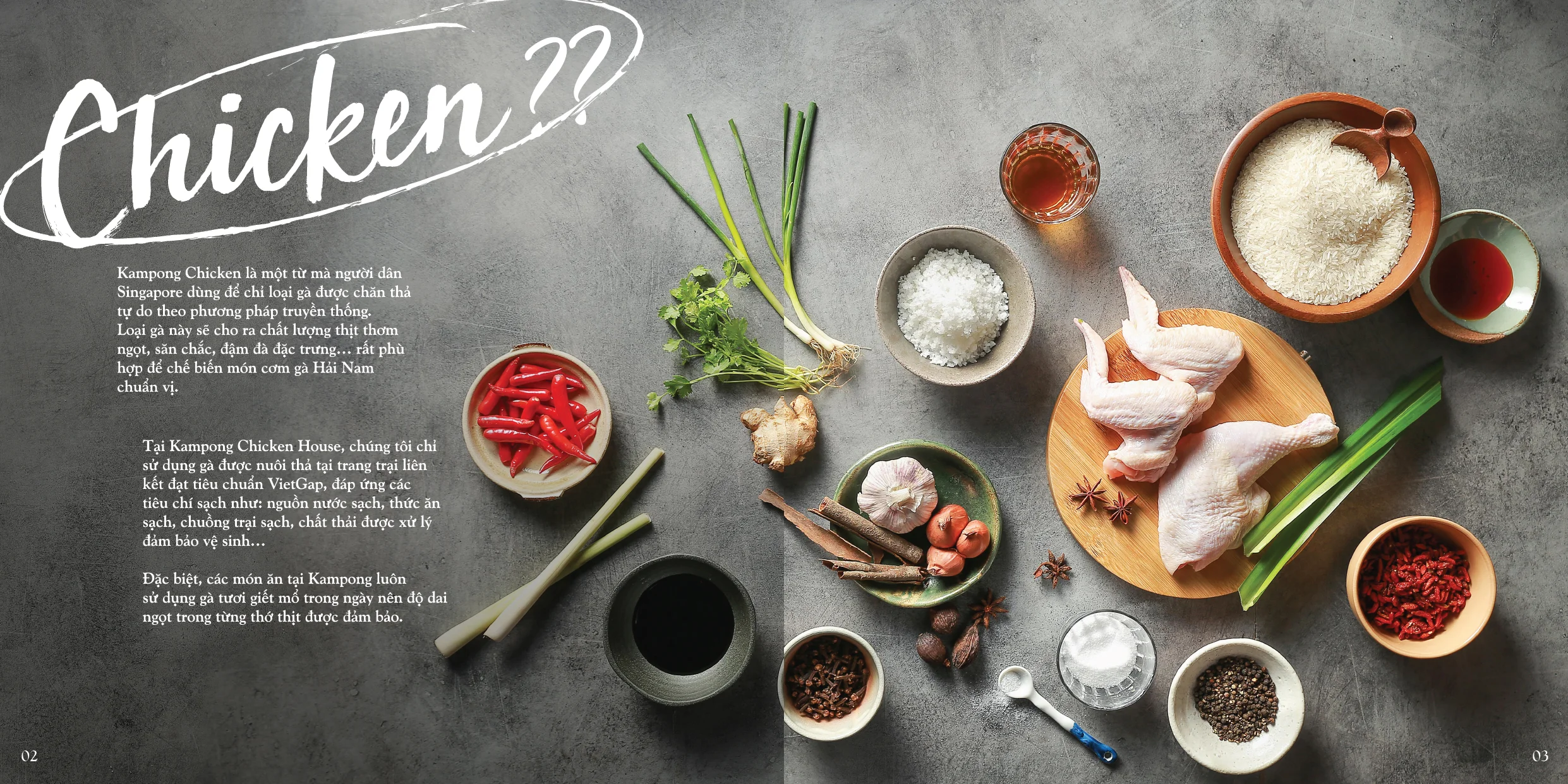 MENU ĂN TRƯA KAMPONG_06.jpg