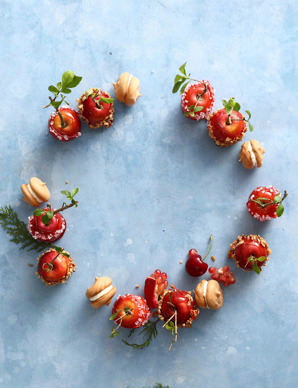 Christmas Wreath 2017 - Vòng Nguyệt Quế của Meo Thuỳ Dương